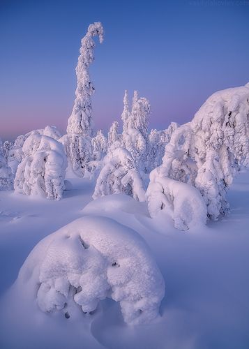 Застывшие великаны