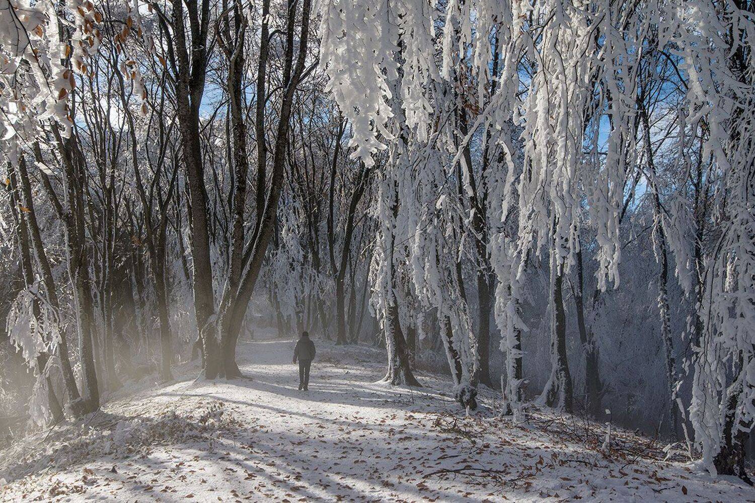 кизиловка, кабардино-балкария, Хасан Журтов