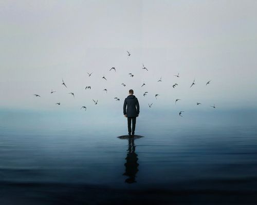 finder