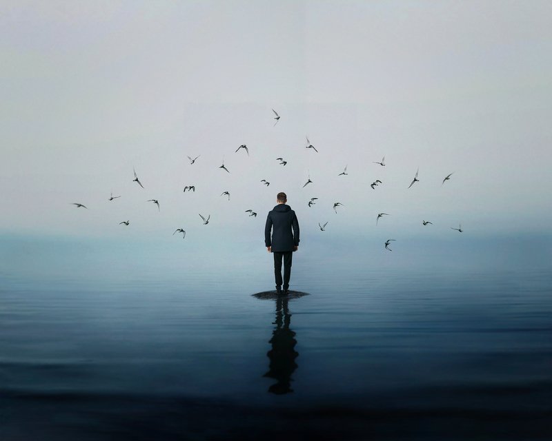 conceptual photography, conceptual, conceptualism finder фото превью