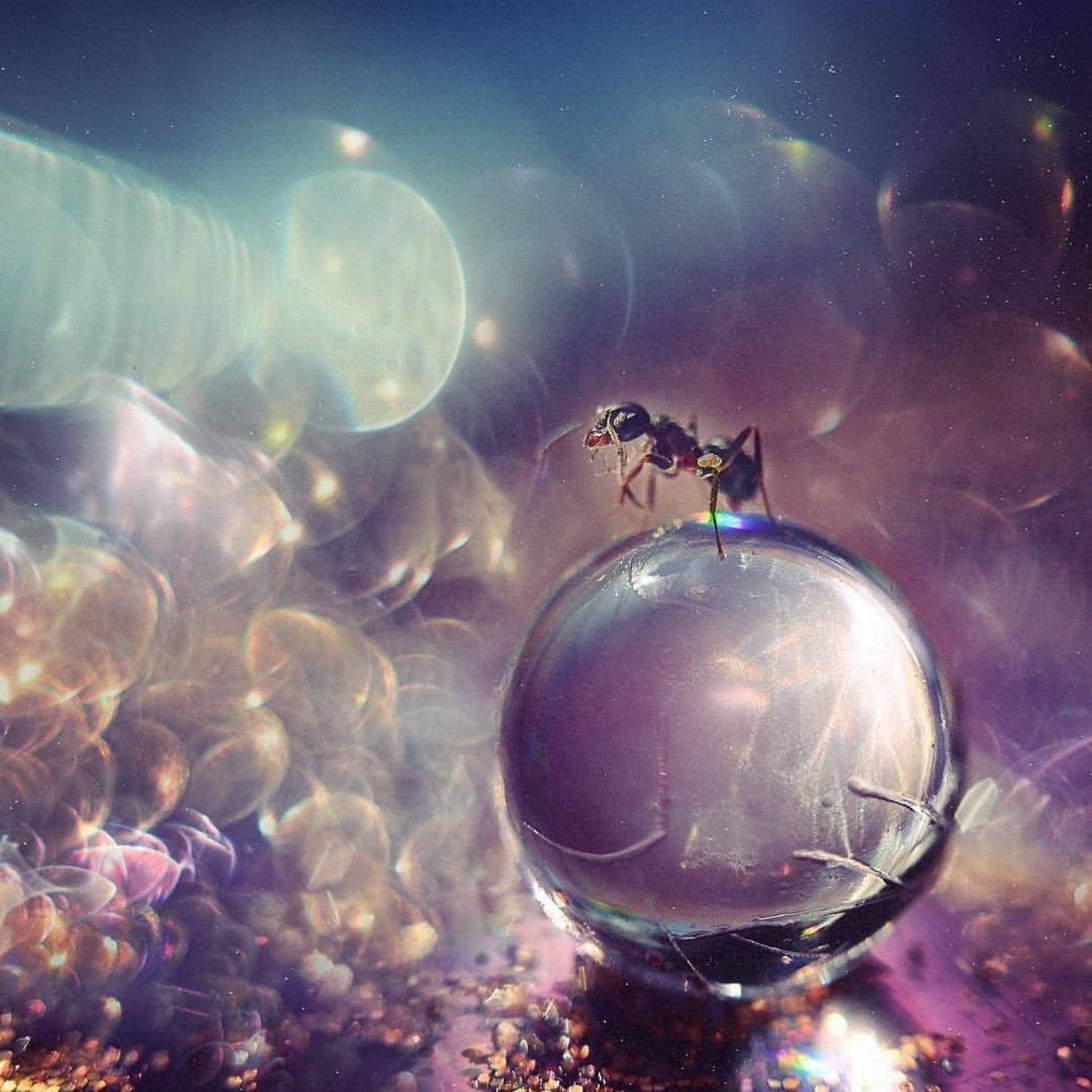 , Тарасова Ольга