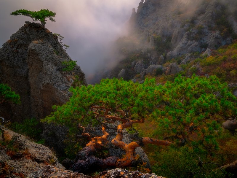 Крымский вечер фото превью