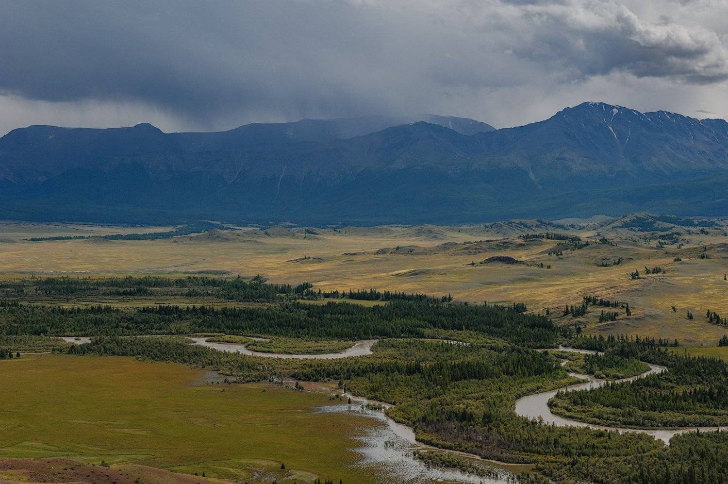 , Олег Логунов