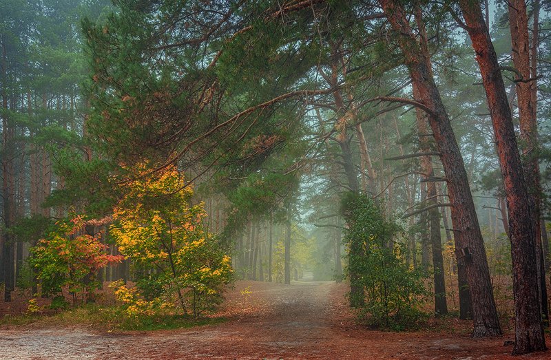 прогулка в осень фото превью