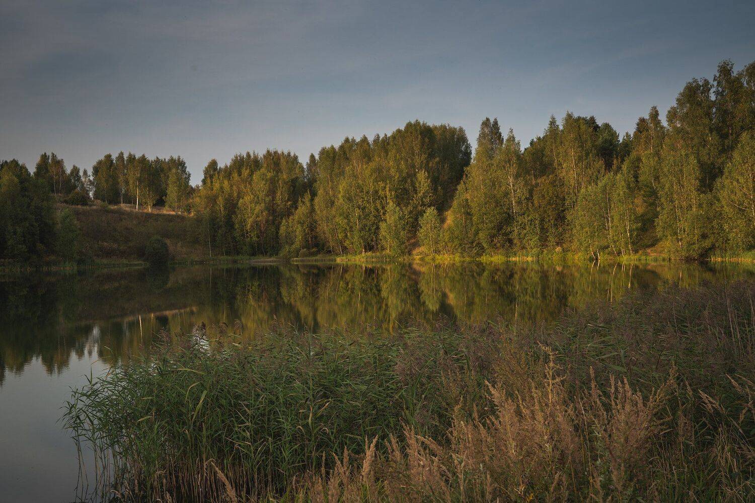 , Константин Дэм