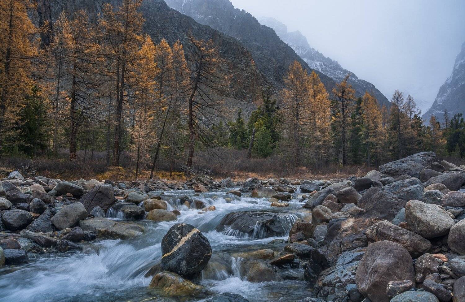россия, горный алтай, долина актру, осень, Андрей Поляков