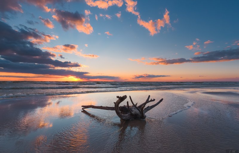 windy, evening, sea, sunset, reflection, water, seascape, blue, sky, clouds, light, panorama, landscape, wind, вечер, море, пейзаж, свет, облака, отражение, коряга, панорама, закат, ветер ветреный вечер .. фото превью