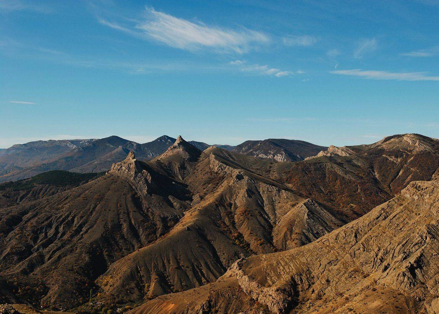 , Олег Логунов