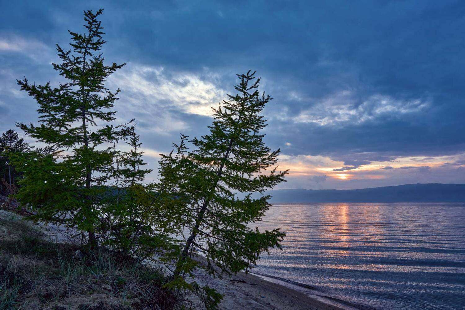 , Сергей Низовцев