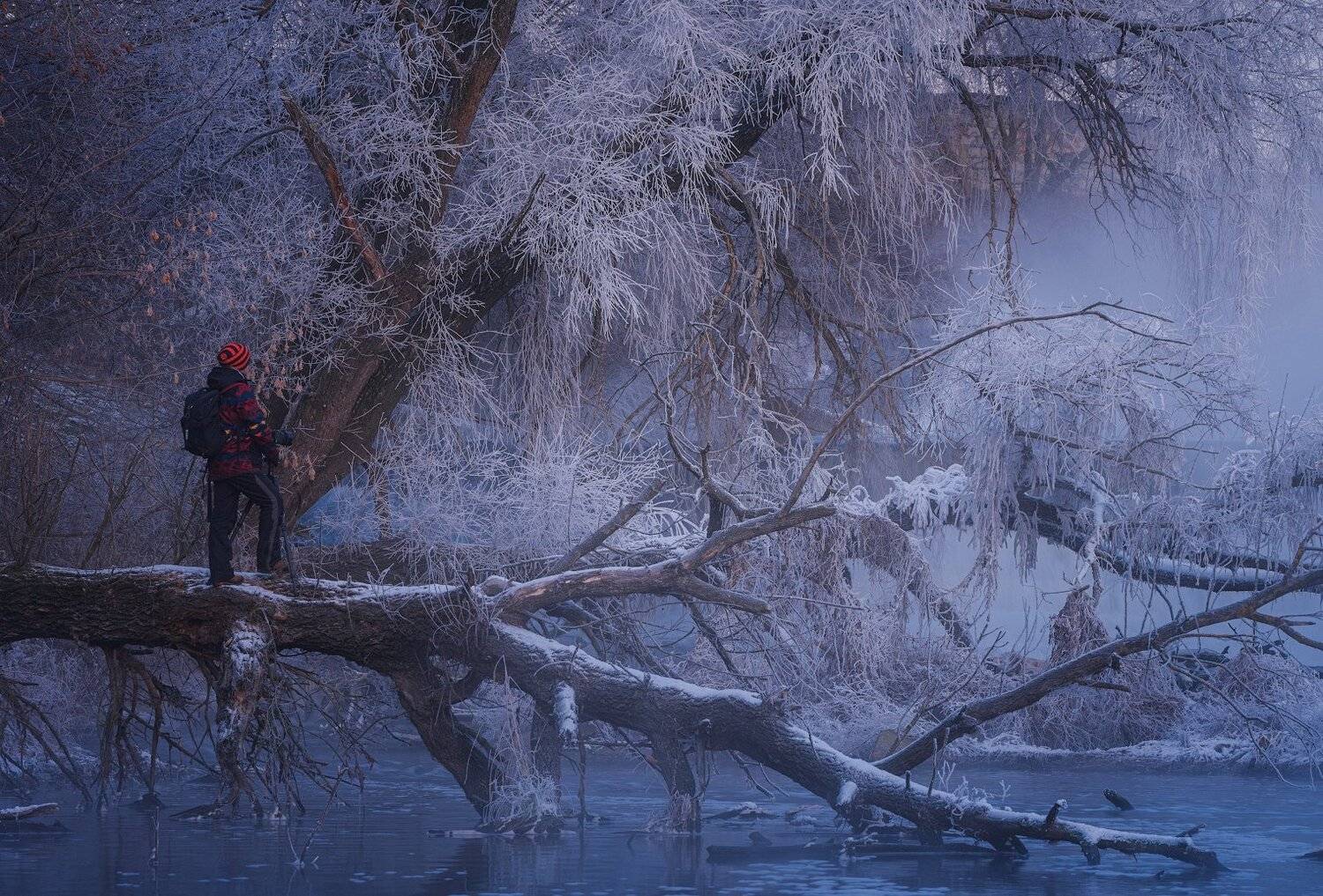 зима, река, мороз, иней, Виталий Левыкин