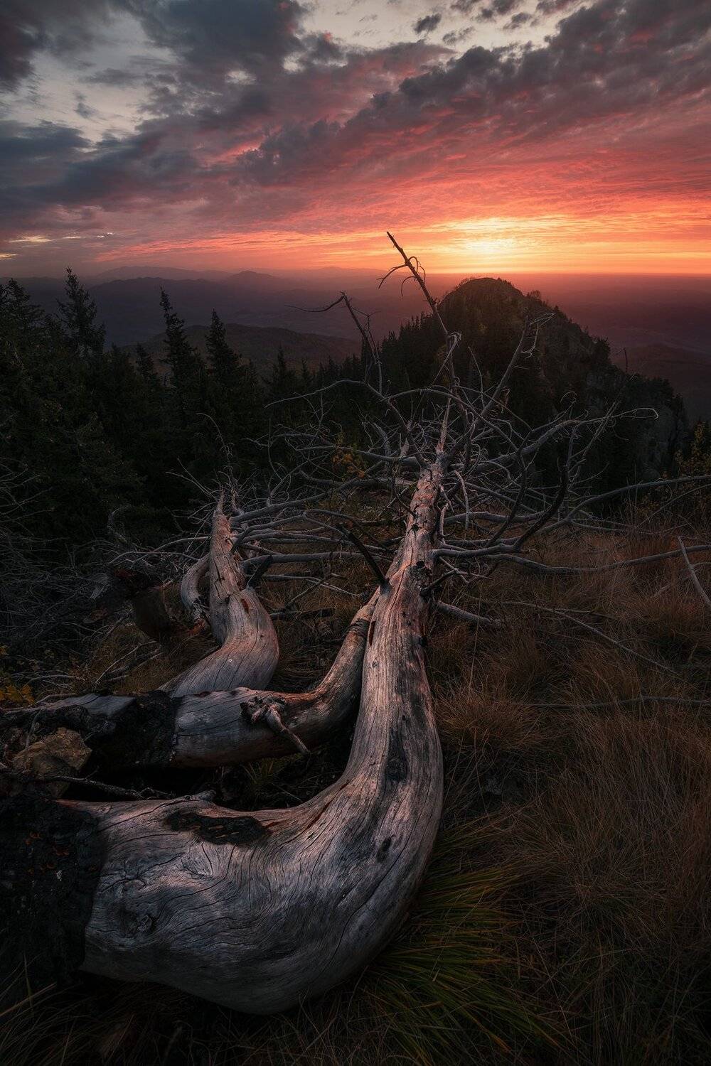 , Szabo Zsolt Andras