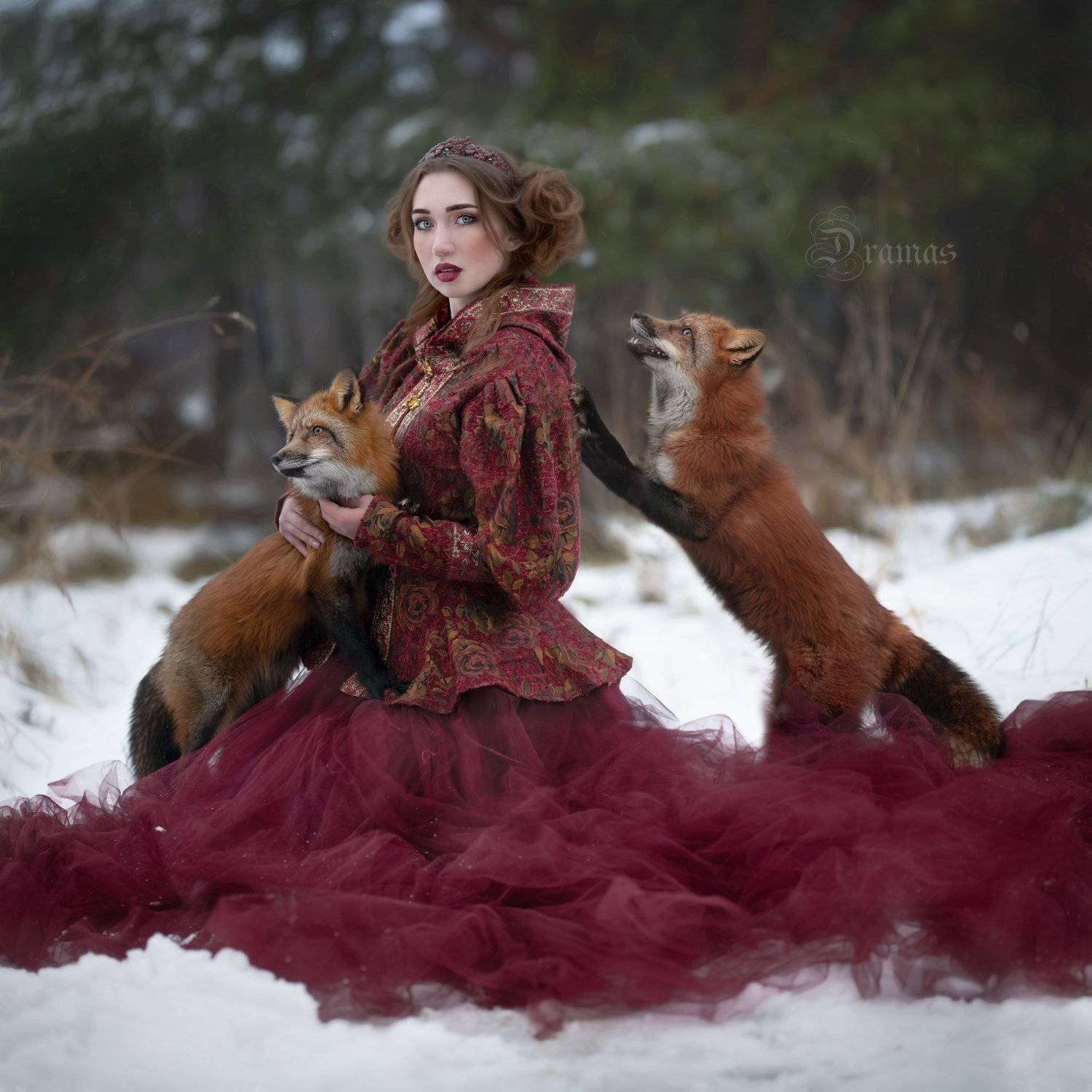 артфото, фотографмосква, художественнаяфотография, съемкасживотными, лиса, нешуба, рыжий, fox, Evgeniya Fedorova