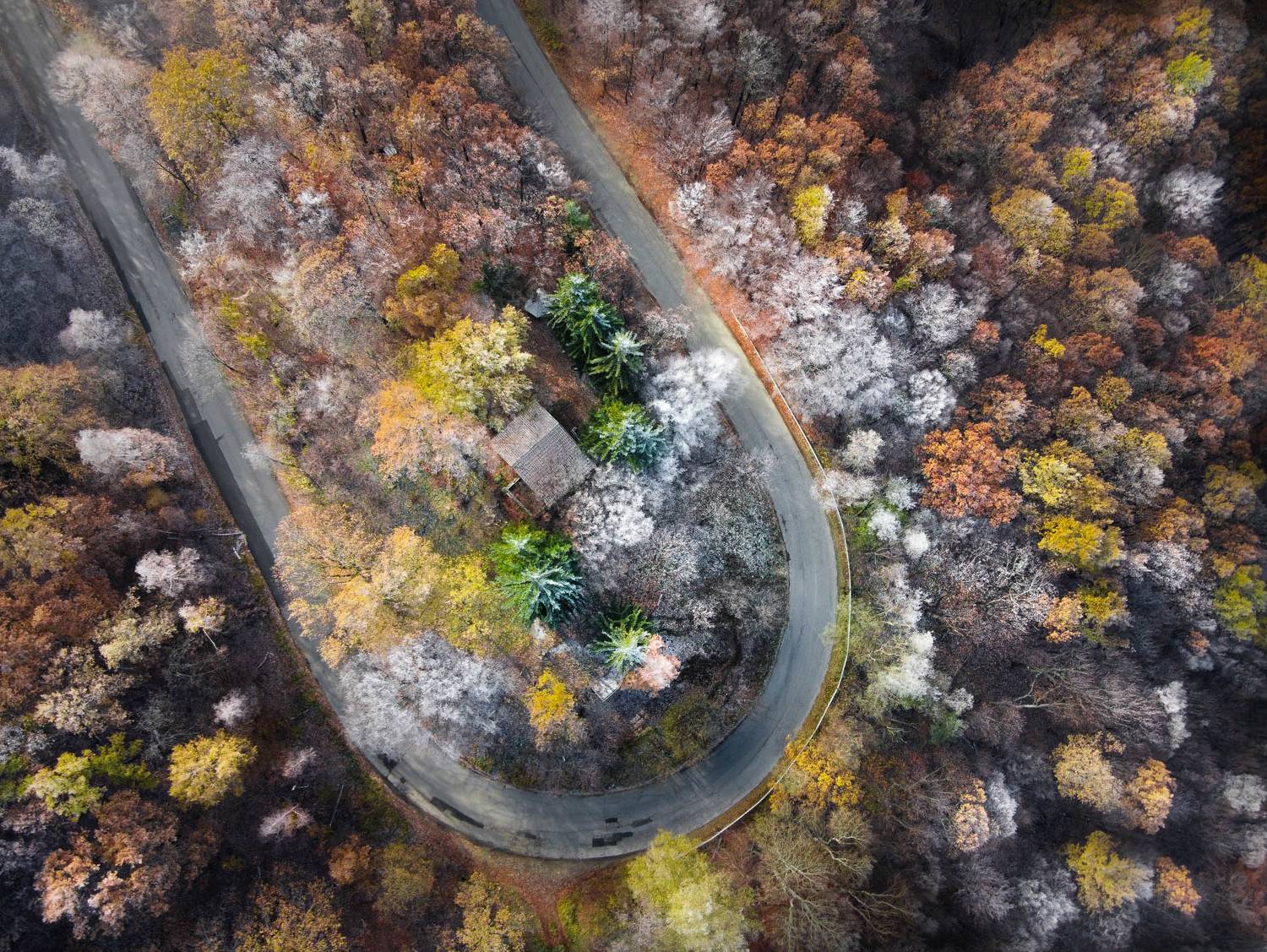 , Mая Врънгова