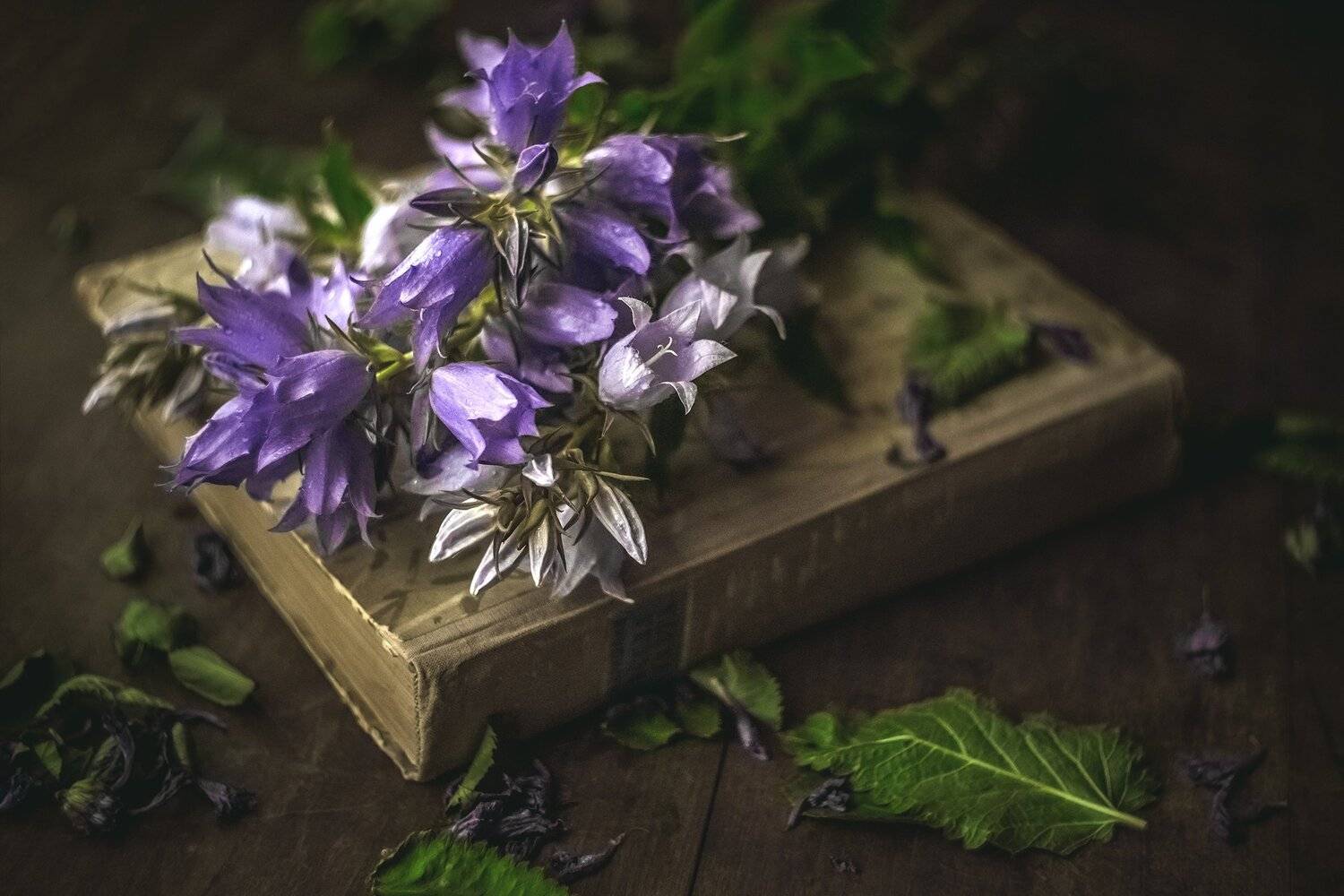 , Рут Андрей