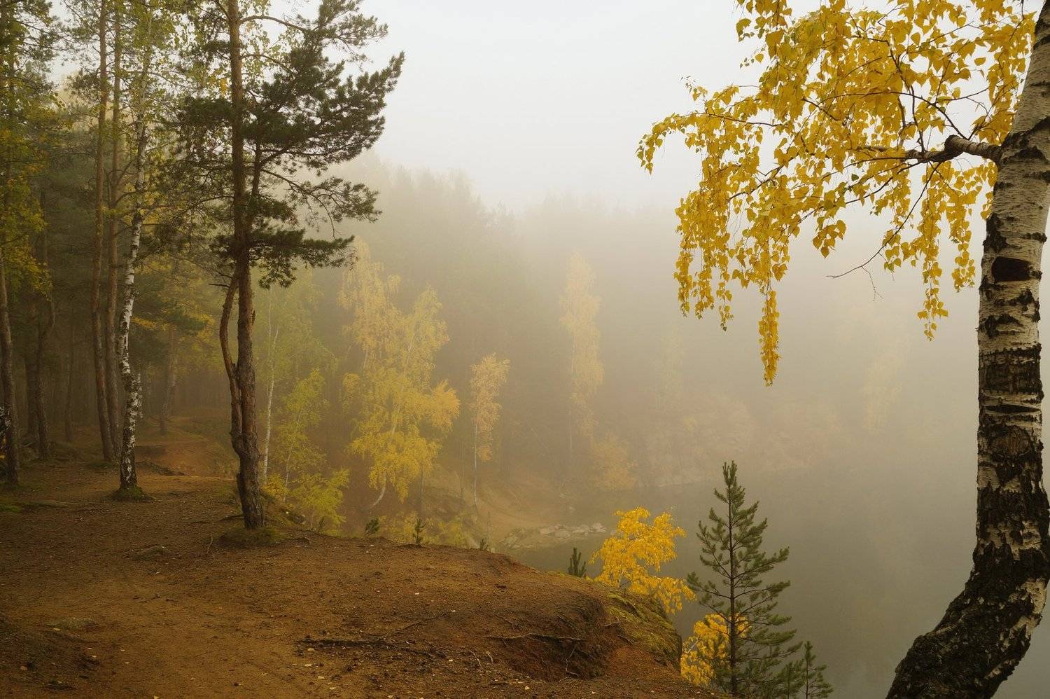 пейзаж,туман,октябрь,лес, Инаида