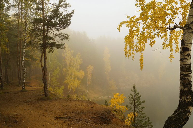 пейзаж,туман,октябрь,лес Утро фото превью