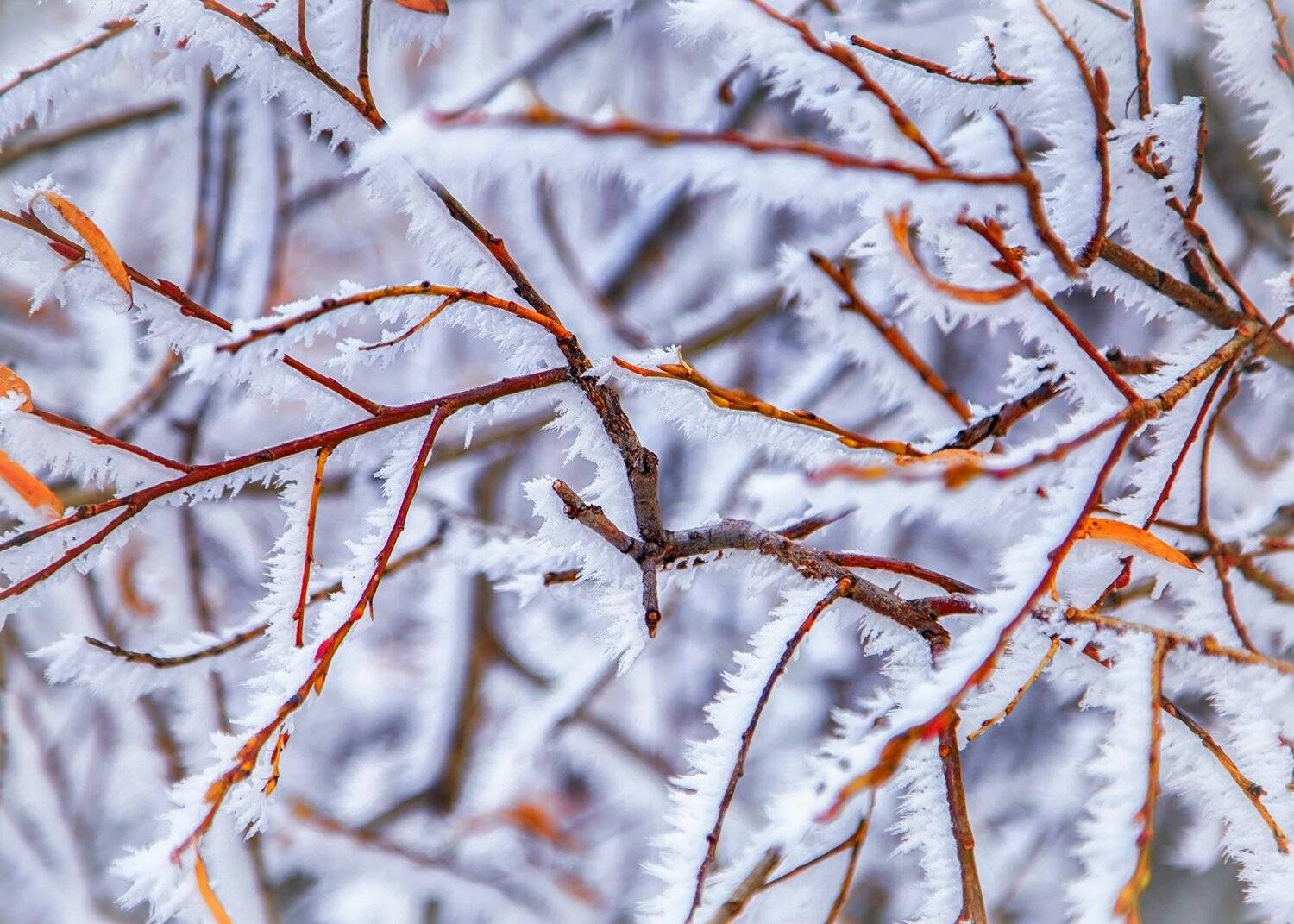 кыргызстан, горы, Элина Магалимова