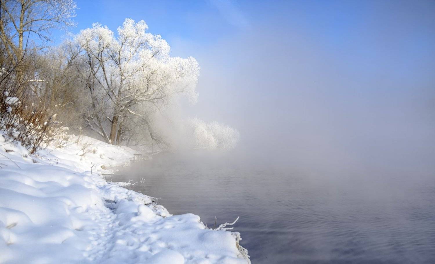 морозным утром., Анатолий Зверев