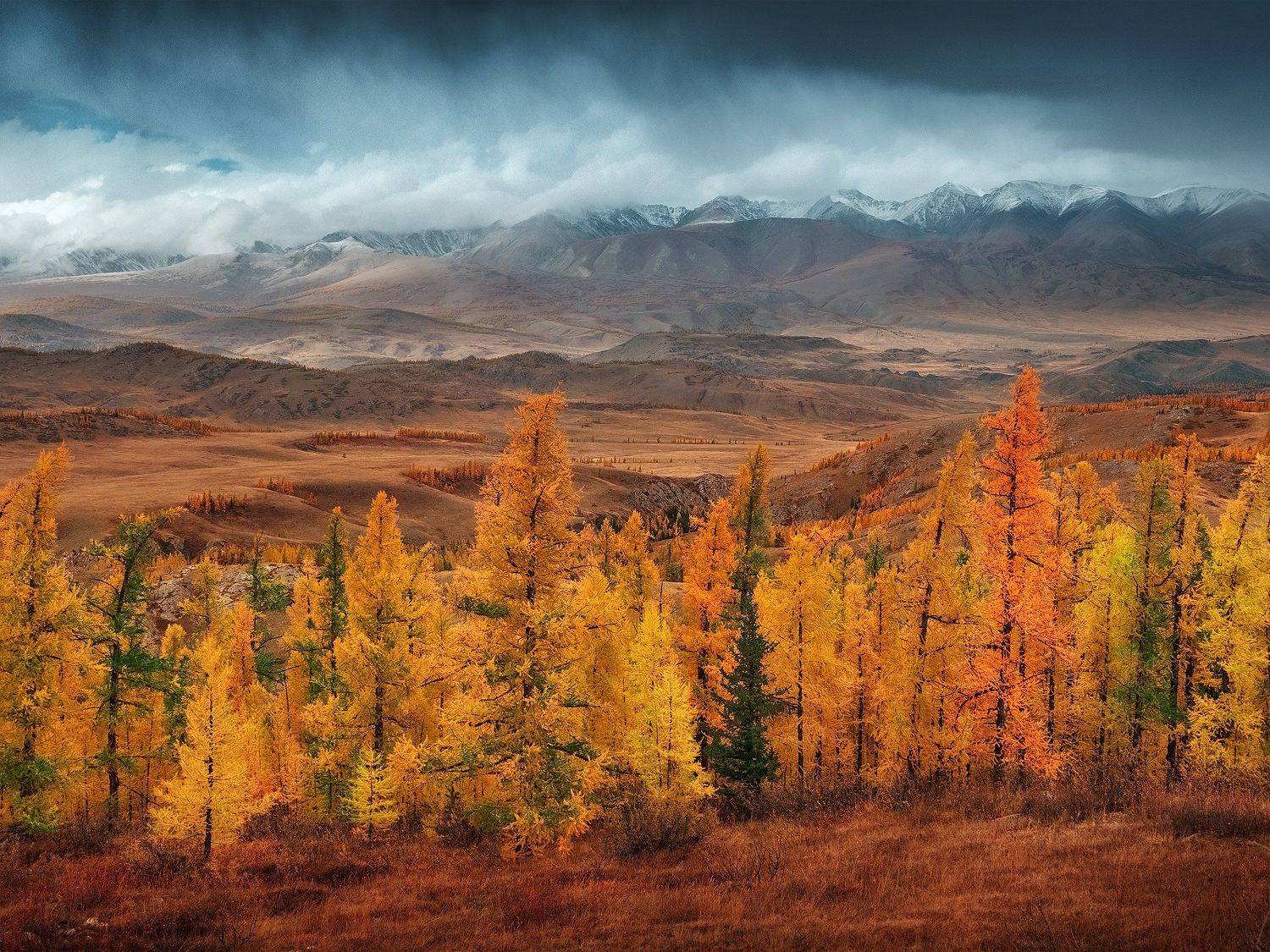 , Андрей Родионов