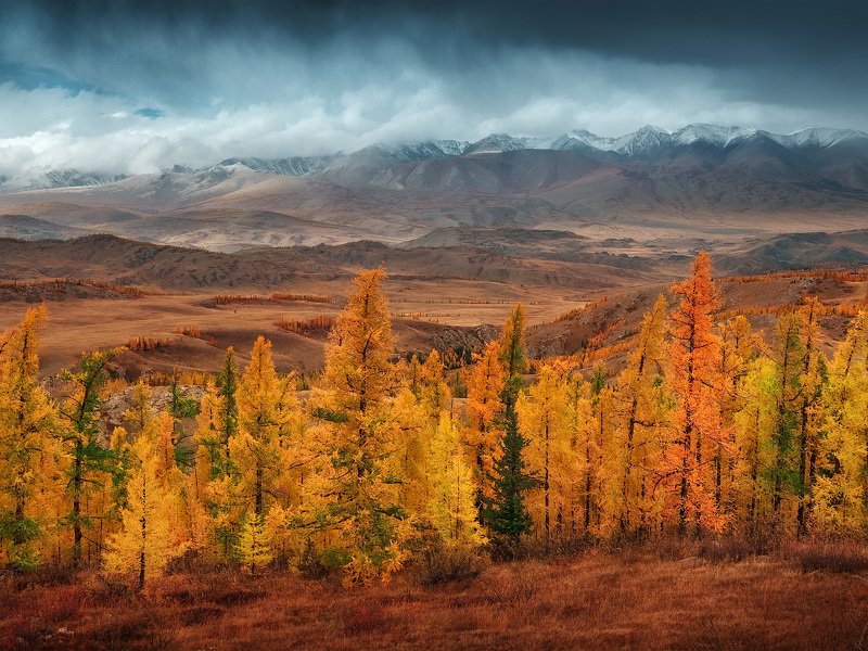 Алтай фото превью