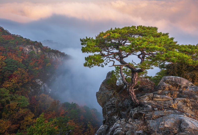 Shadows and fog фото превью