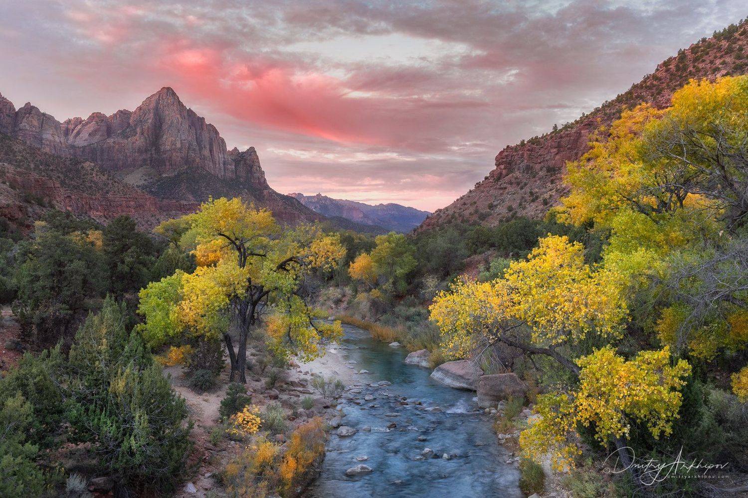 , Дмитрий Архипов