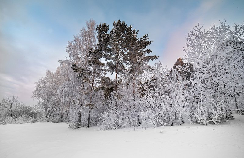 Зимний лес фото превью
