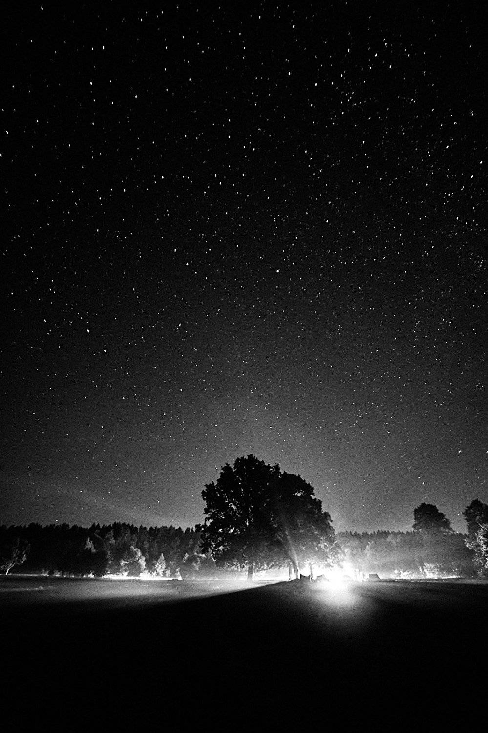 , Александр Фанковин