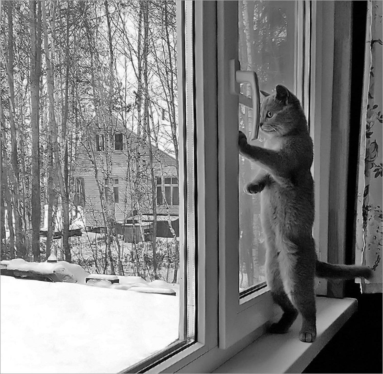 , Сергей Никсон