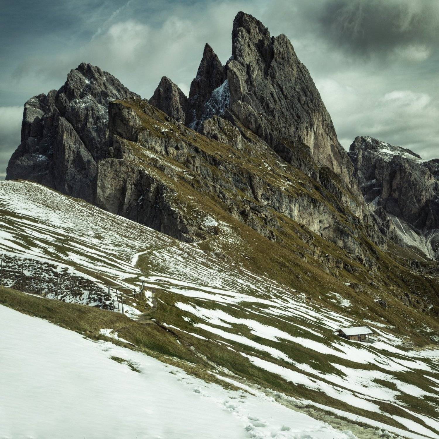 снег; горы; лес; альпы; италия, Александр Удовиченко