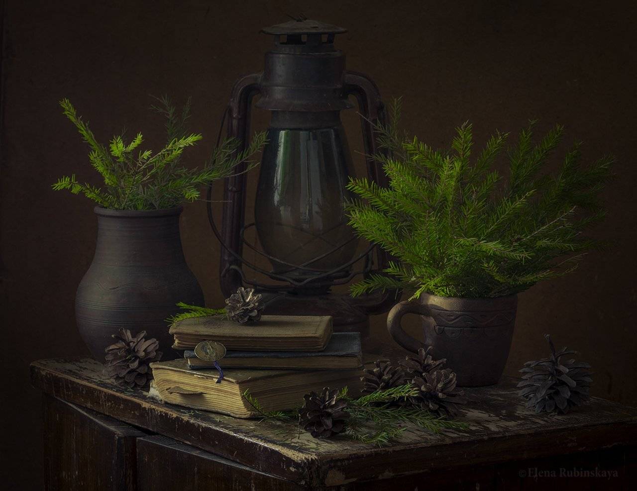 , Елена Рубинская