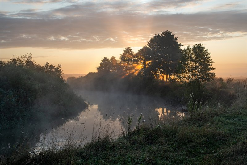 August dawn фото превью