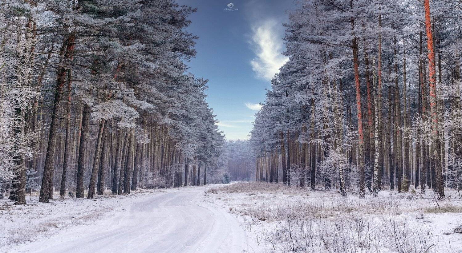  Zima, Las, Droga leśna, Drzewa, Krajobraz, Śnieg, Niebo, Chmury, Nikon, Przymrozek, Poranek, Światło, Natura, Krzysztof Tollas