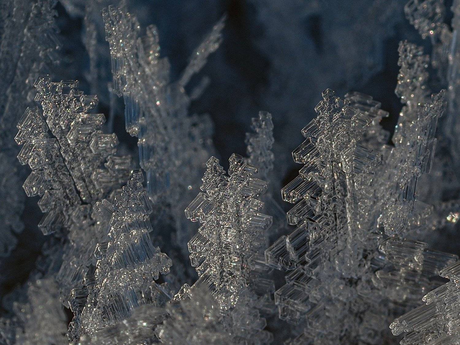 , Сергей Духанин