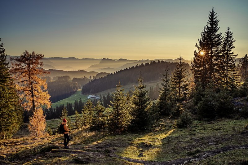 В осеннем свете фото превью