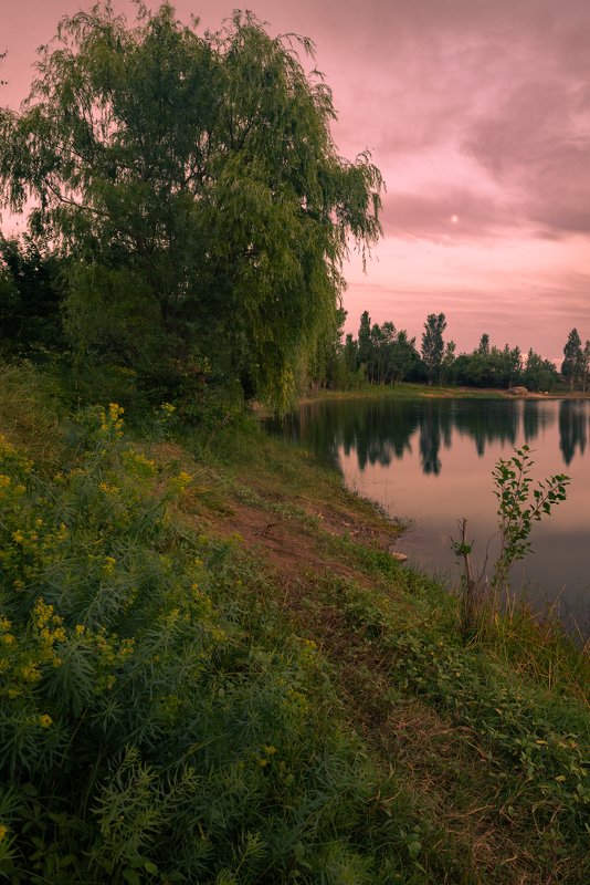 фото превью