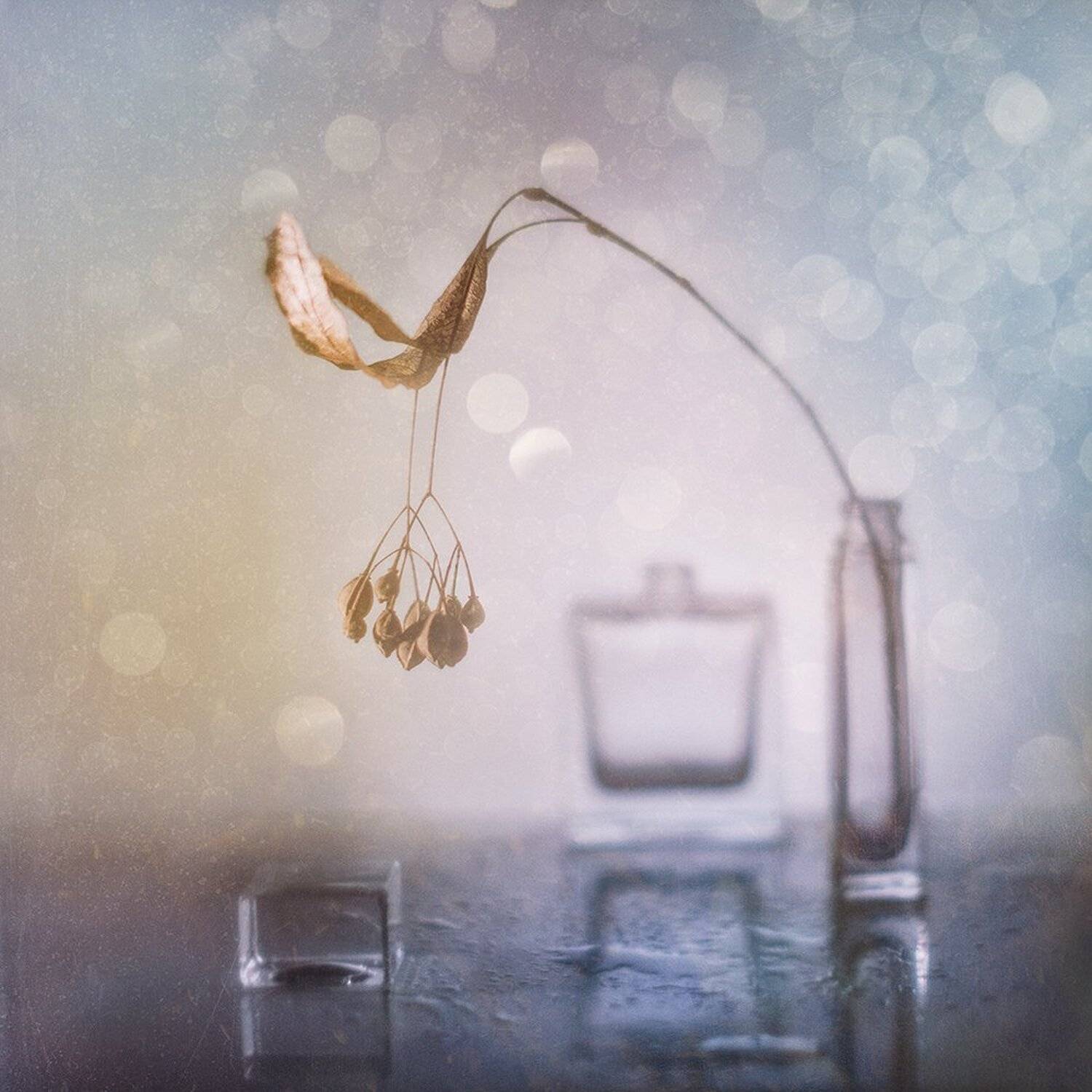 , MVO (Марк Орлов)