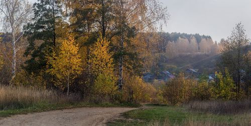 Петрино