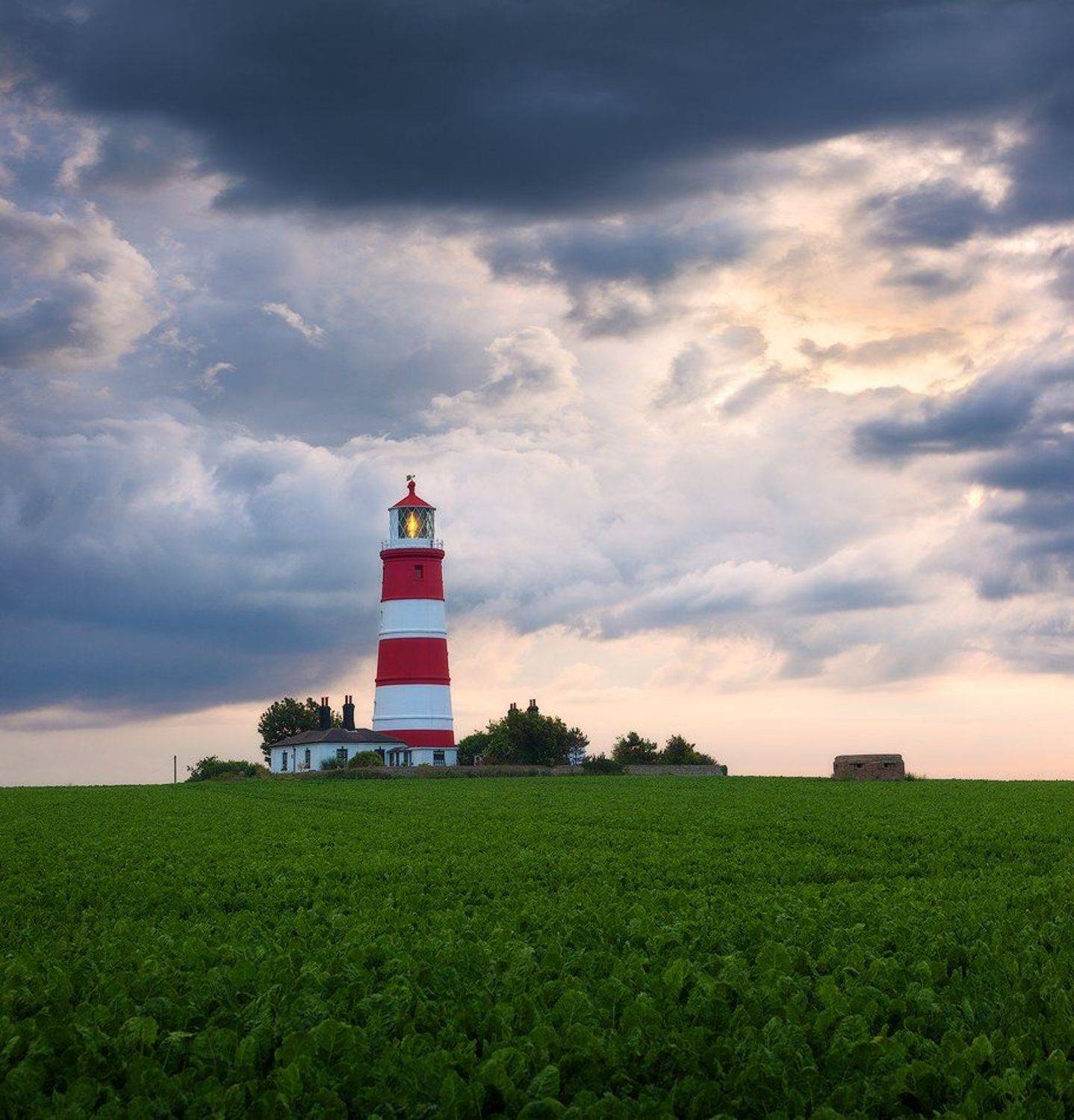 uk, england, norfolk, Alex Yurko