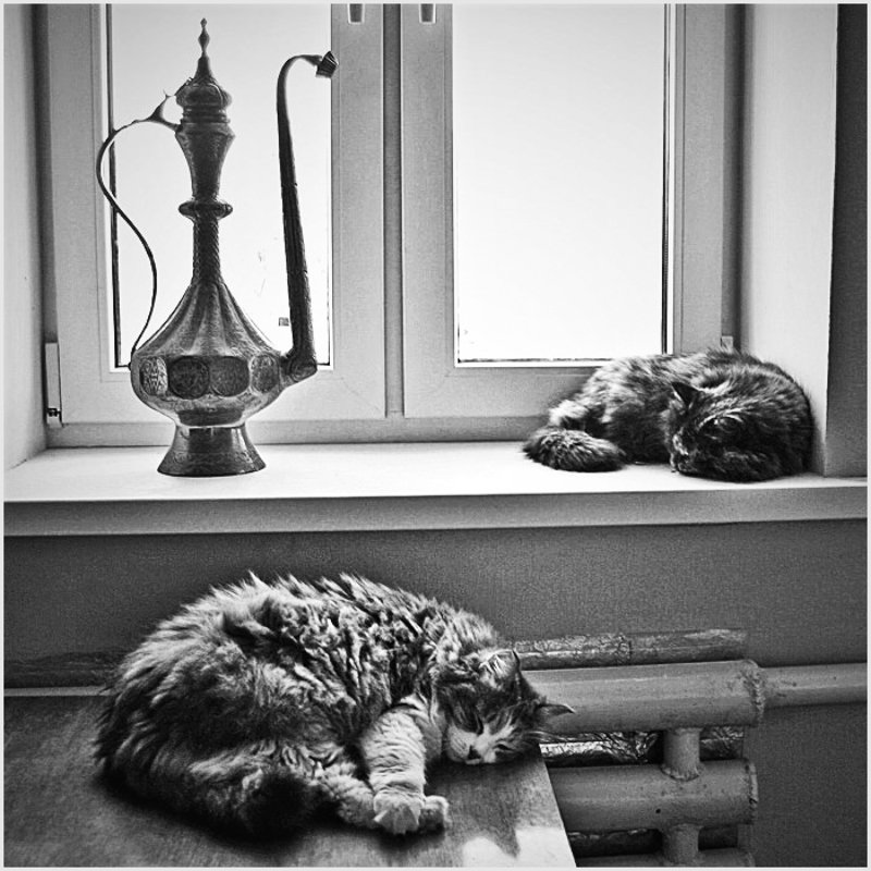 *** фото превью