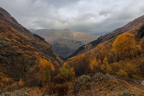 autumn time...