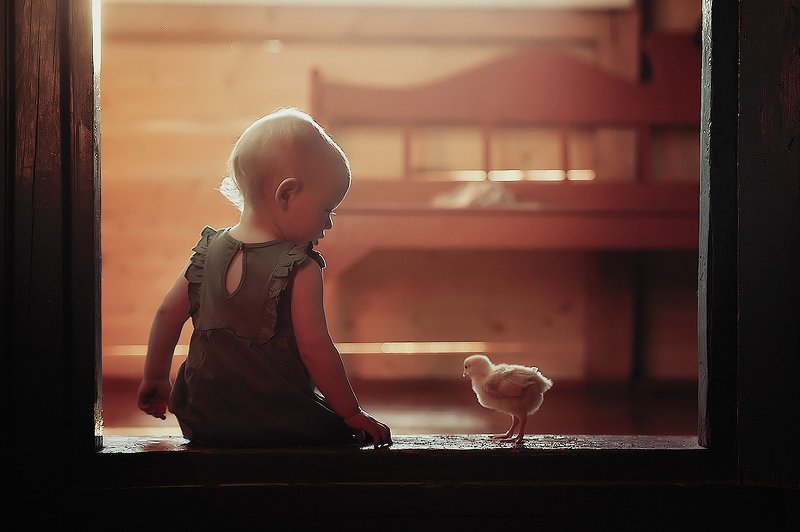 Два цыпленка фото превью