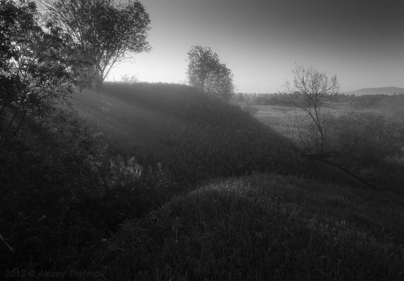 , Алексей Трофимов