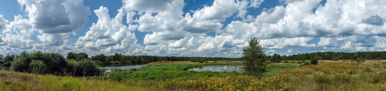 , Uncle_Vova (Владимир Веснин)