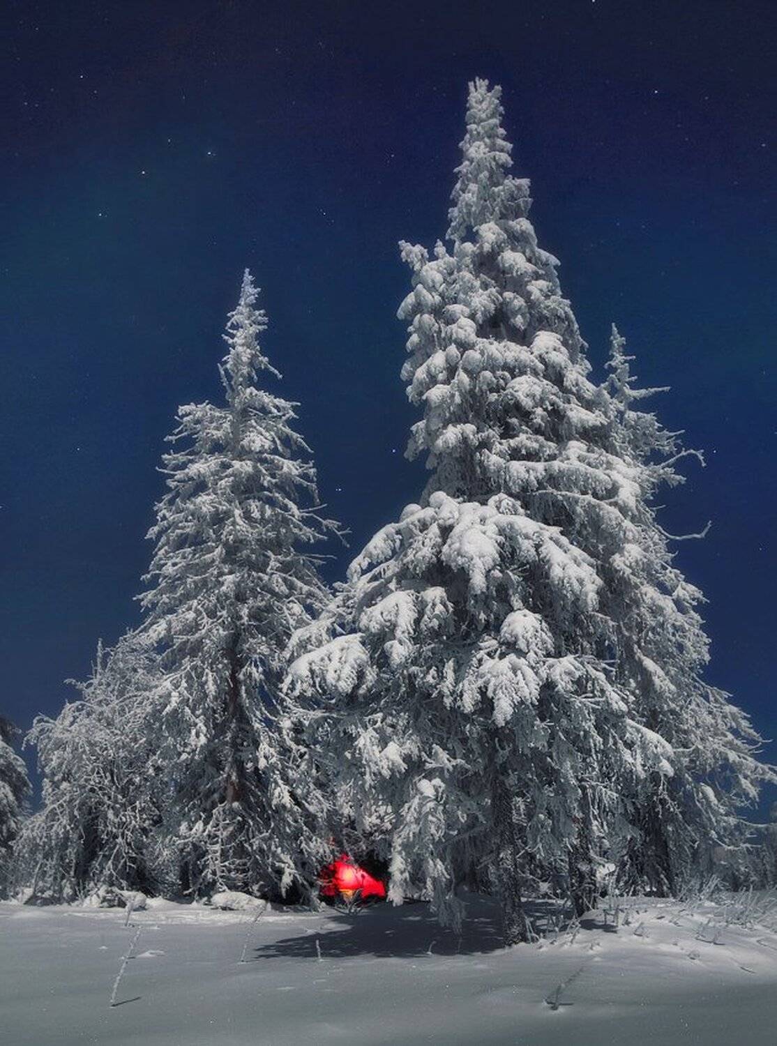 , Сергей Макурин