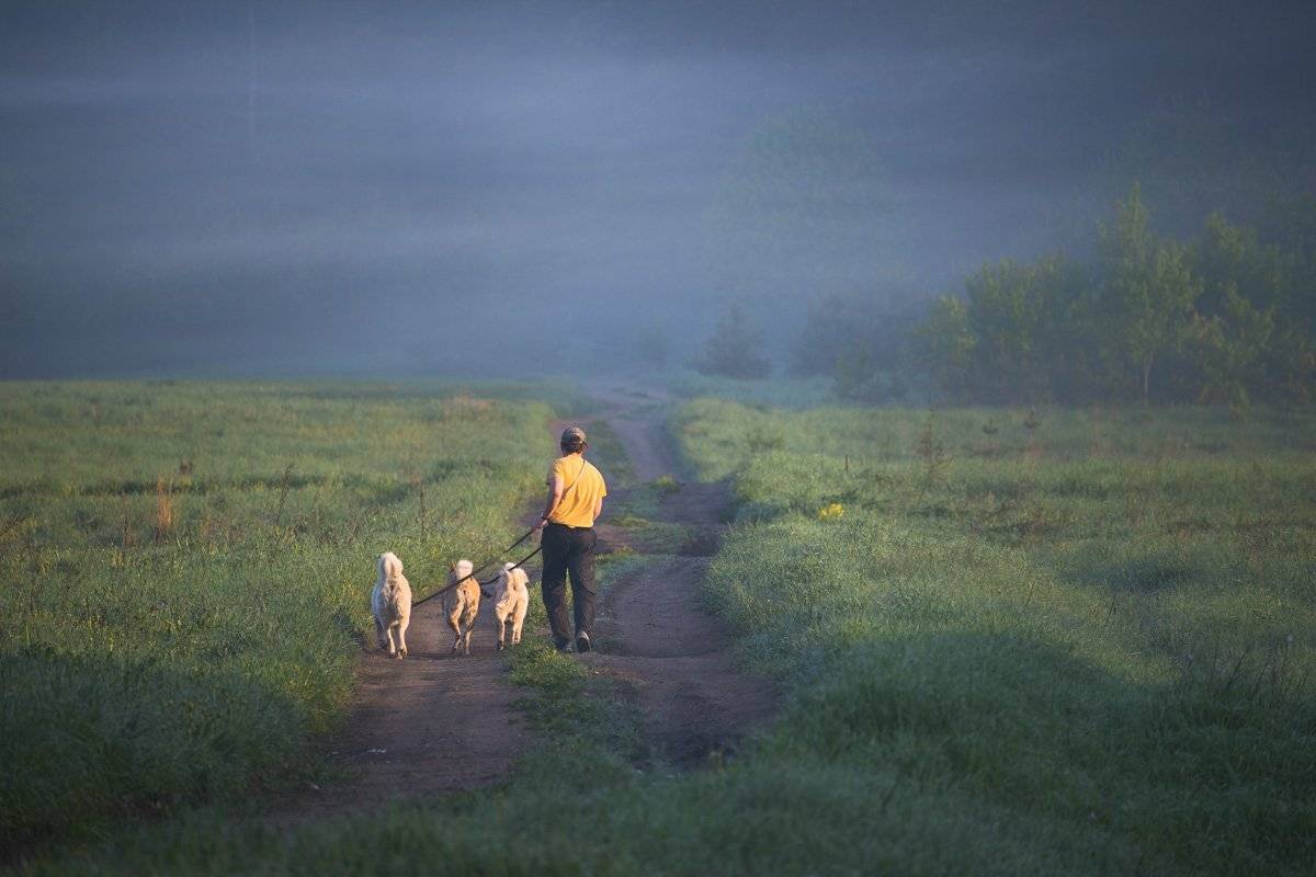 , Rimantas Bikulcius