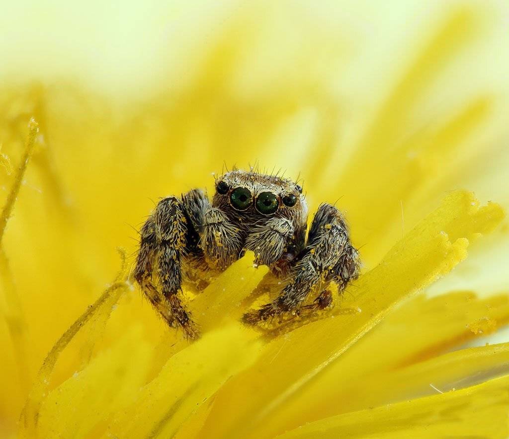 , Сергей Таланов