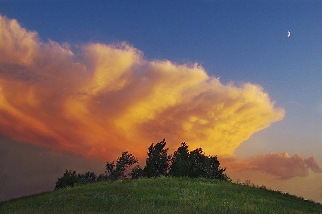 , Сидоренко Алексей