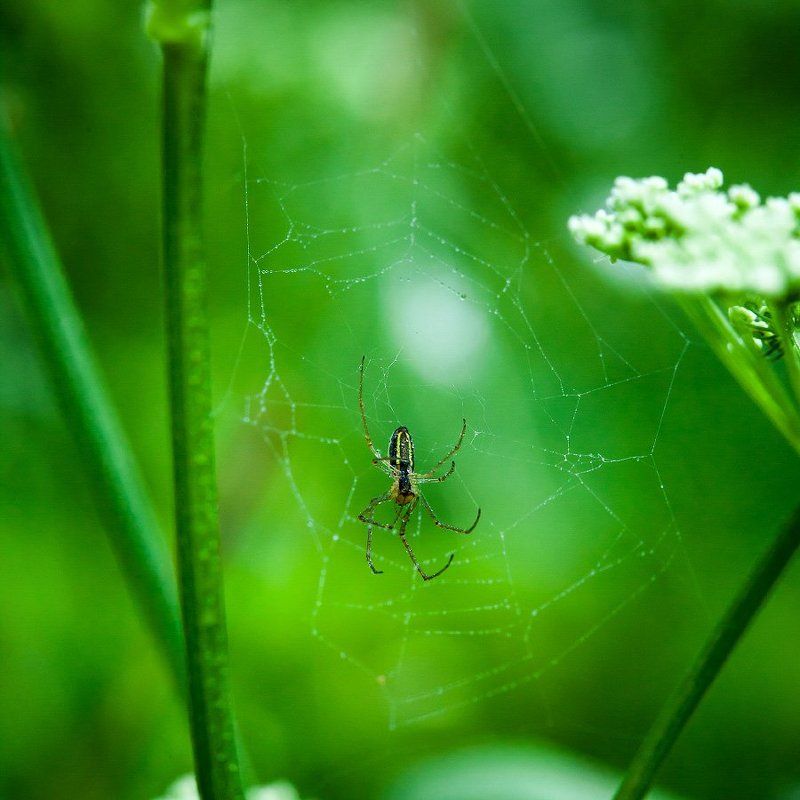 The Empty фото превью