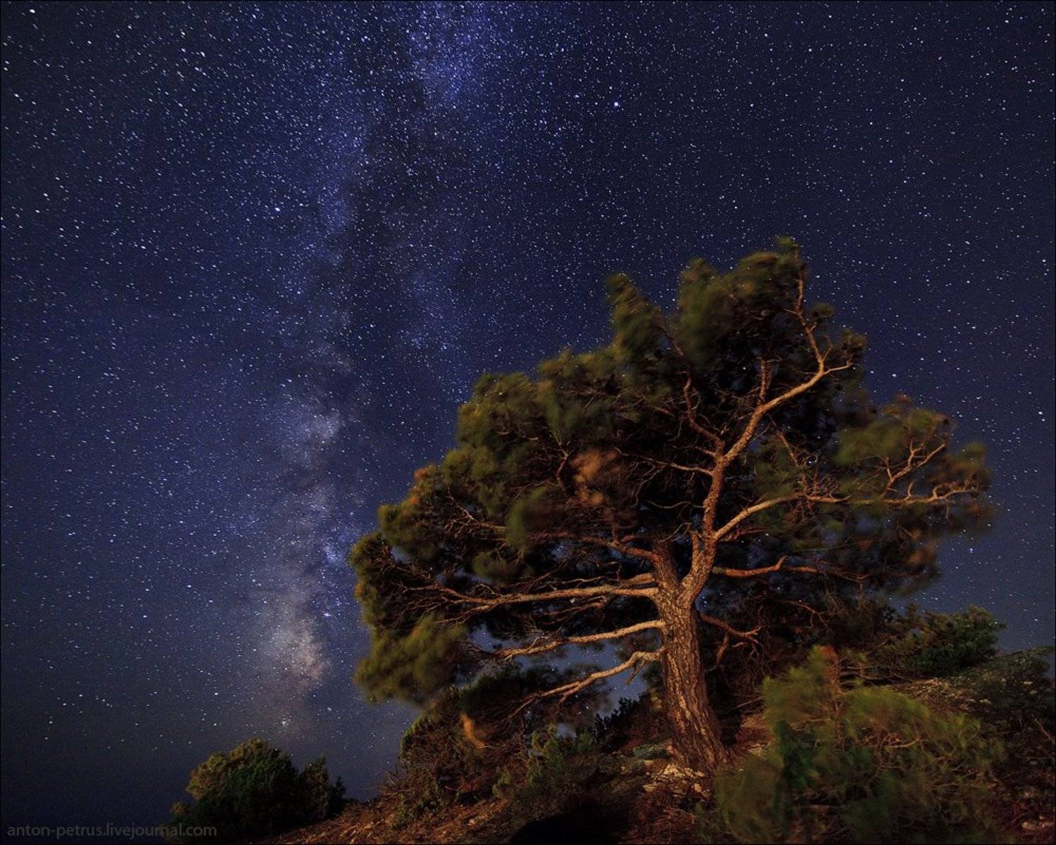 , Антон Петрусь